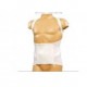 FAJA DORSO - LUMBAR DAMA - CABALLERO (ENVIOS COLOMBIA) CANTIDAD*1
